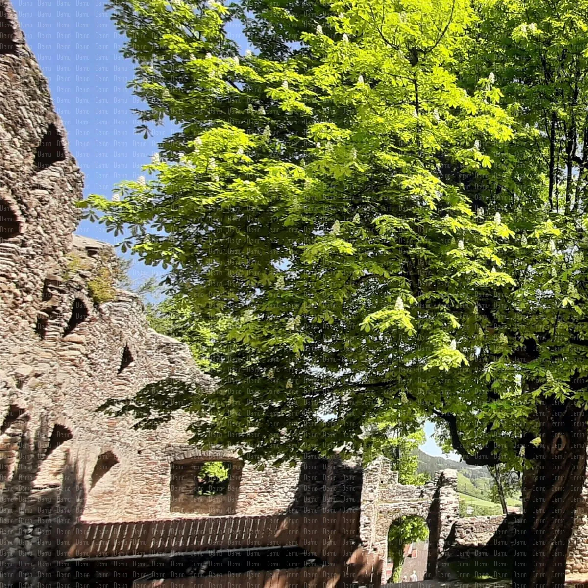 08_2022_Burgruine_St-_Leonhard
